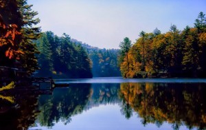 Lake Sequoyah Fall