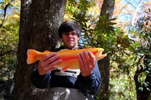 Fly Fihsing Guides in Gatlinburg Pigeon Forge Sevierville Tennessee, Fly Fishing the Smokies, 
