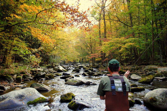 Fall Fly Fishing | Guided Trout Fishing, Smoky Mtns Gatlinburg Bryson City