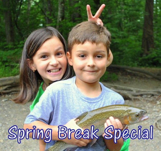 Spring Specials Guided Fly Fishing in Gatlinburg & Pigeon