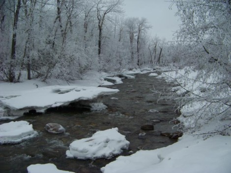 Winter Fishing in the Smoky Mountains,