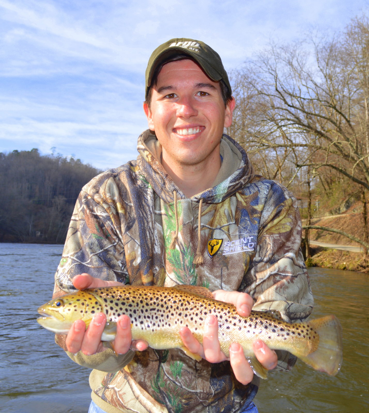 Brown trout Gallery, Smoky Mountain Fly Fishing Guides and Trips