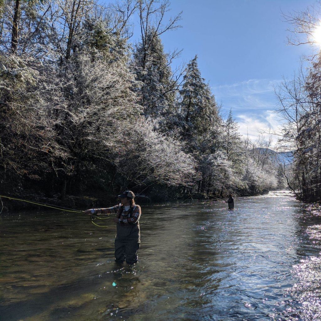 Smoky Mountain Fly Fishing Report