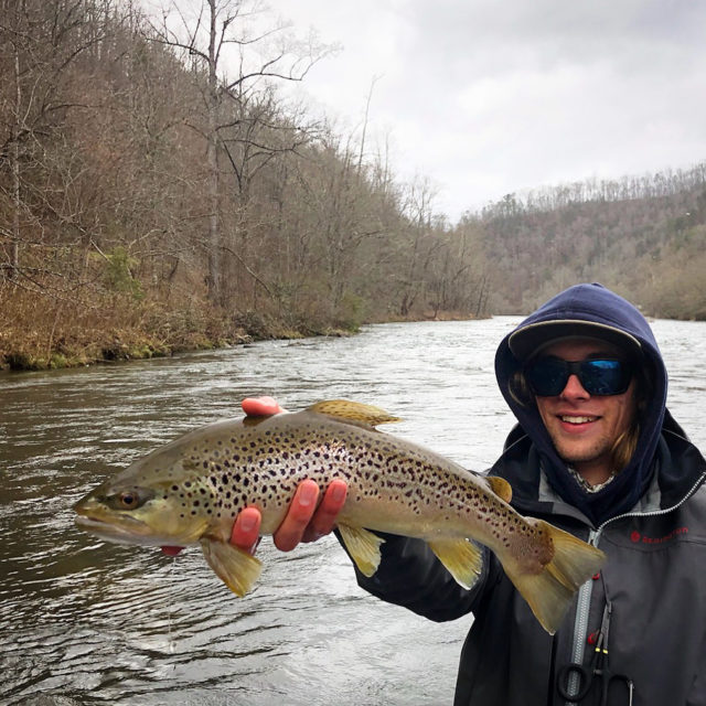Fly Fishing the Smokies — Great Smoky Mountains Fishing Report June 1st