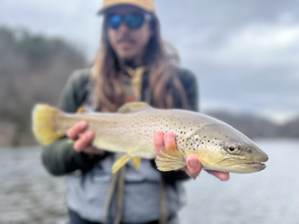 tobacco gardens fishing report Fly Fishing Report – Fly Fishing the Smokies -